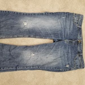 Silver Jean's Plus size